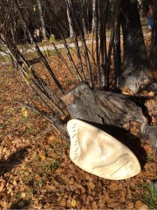 o0480064113814017935-225x300